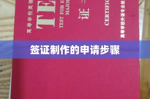 旬阳签证制作的申请步骤